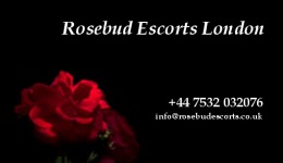 Rosebud Escorts